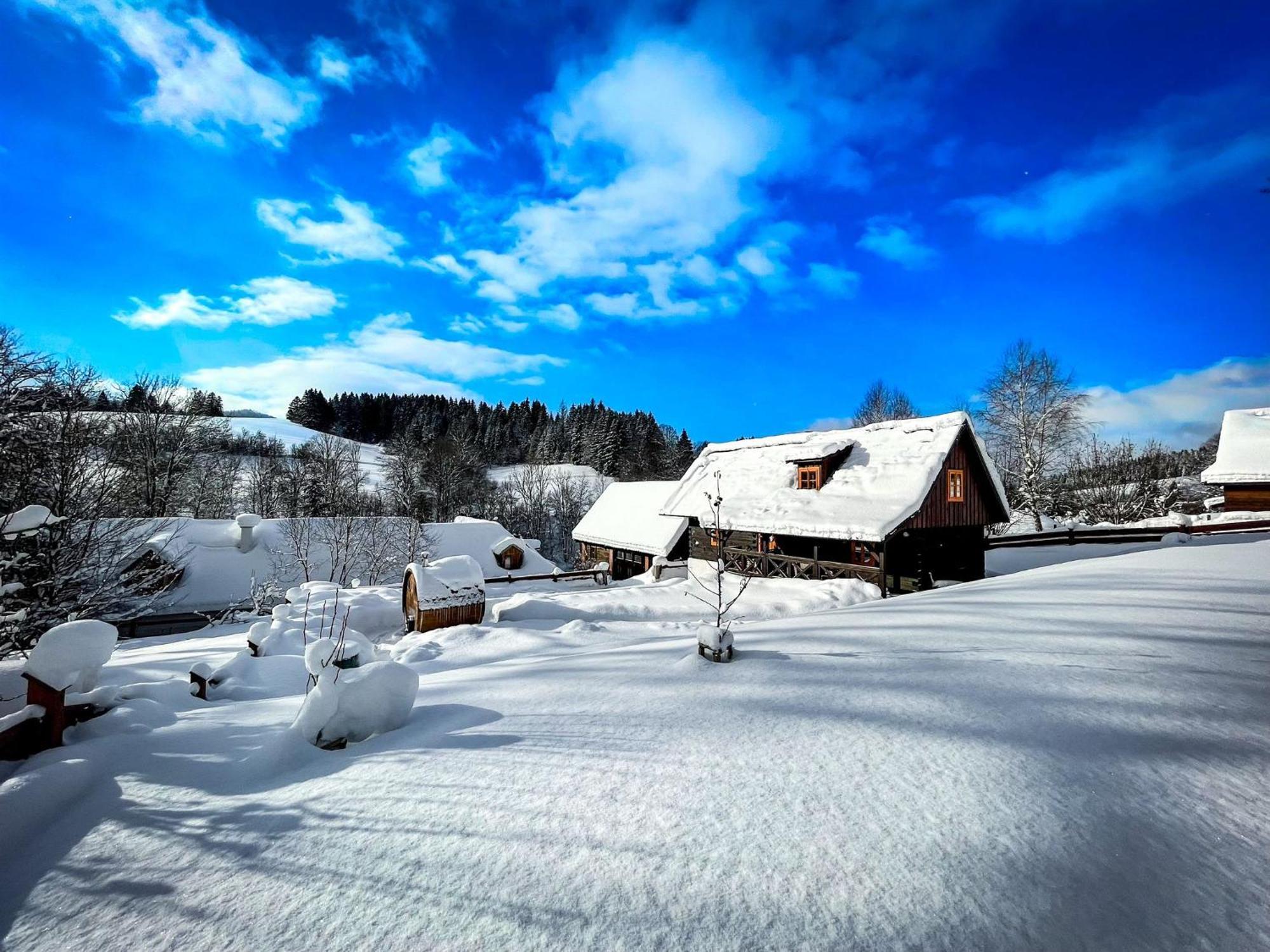 Traditional Deer Cabin With Sauna Dolny Kubin Zewnętrze zdjęcie